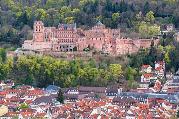 Heidelberg Highlights Private walking Tour with a Local Guide