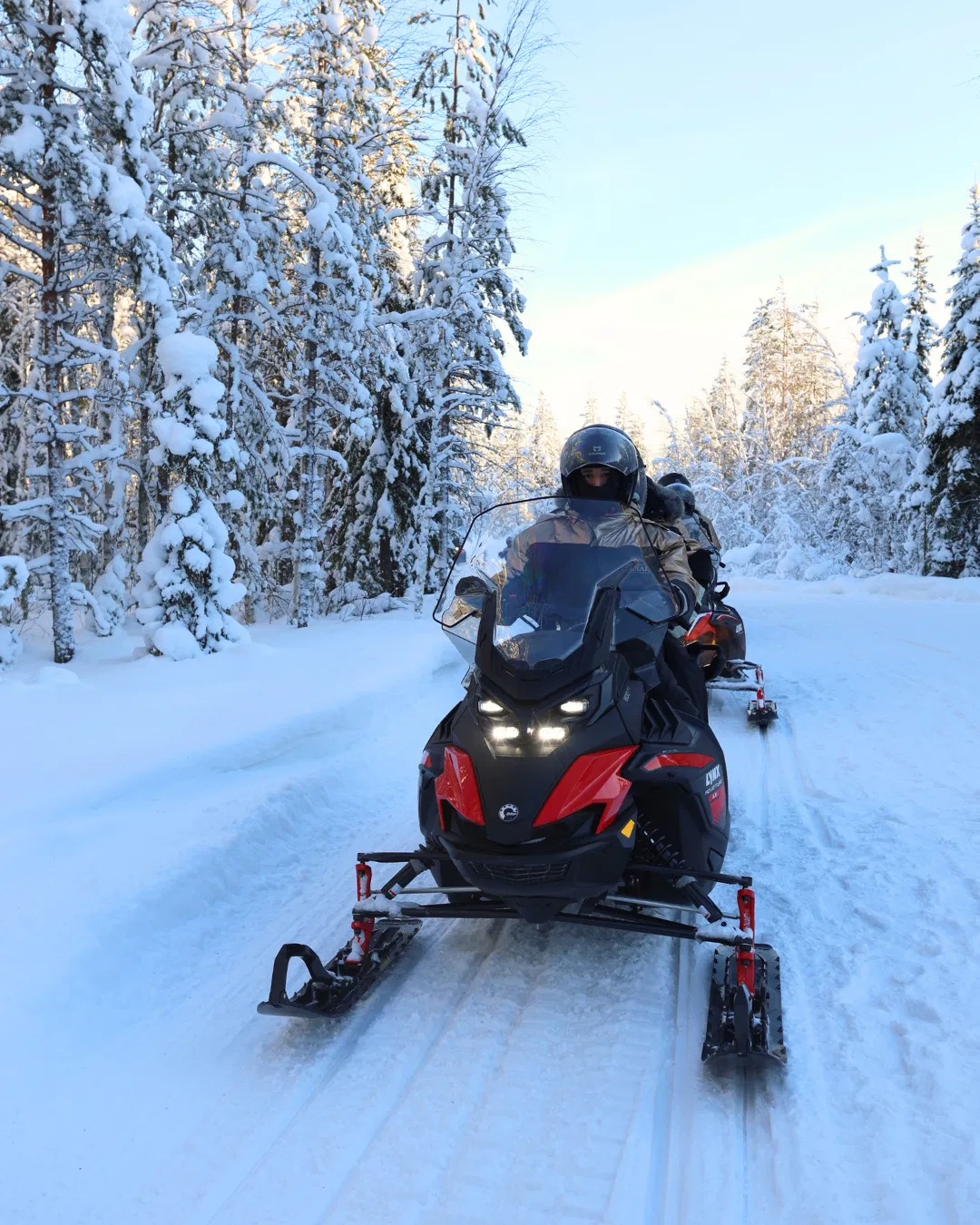 Arctic Wilderness Ride