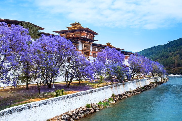 From Bhutan 9 Nights 10 Days Explore Beautiful Bhutan