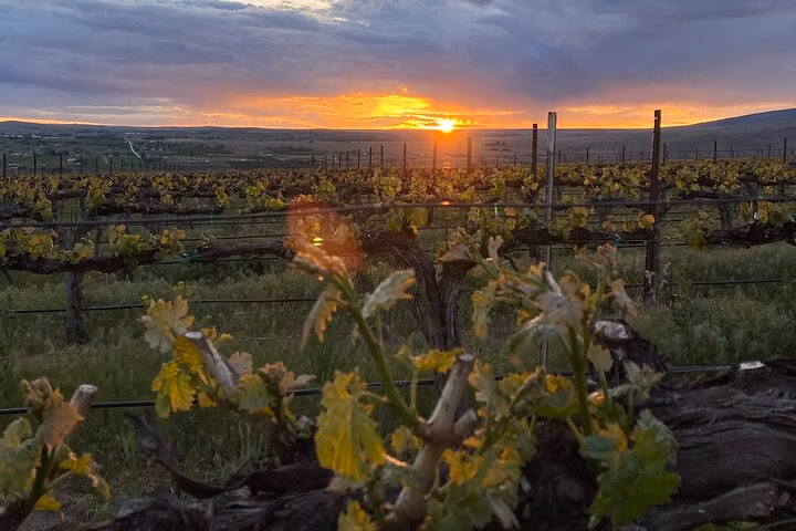 From Seattle Wine Tasting, Vineyards in Eastern WA