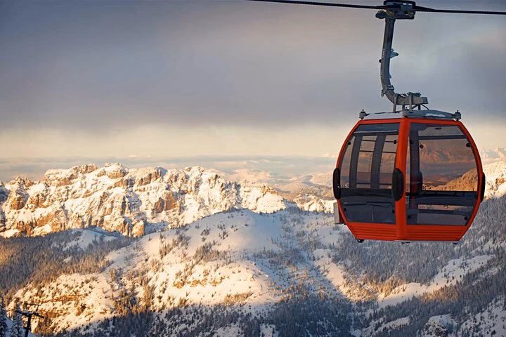 Mt. Rainier tour with Gandola ride at Sunrise and Paradise