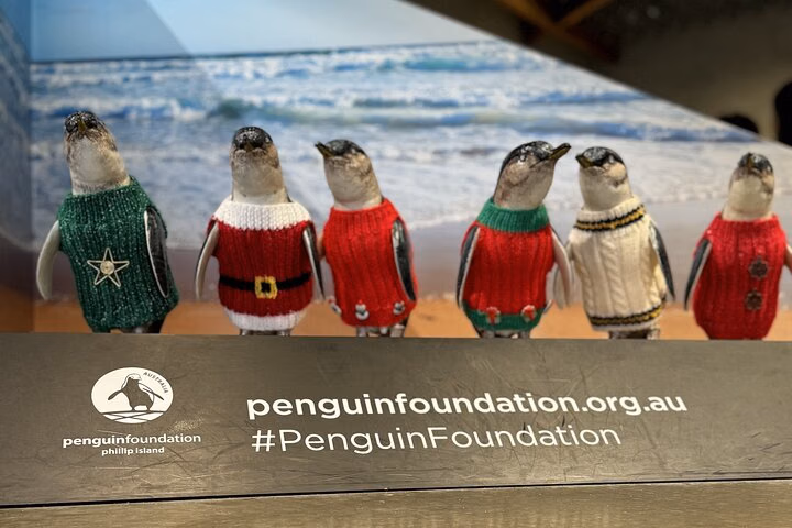 Melbourne: Private Phillip Island Penguin Parade & Wildlife Tours