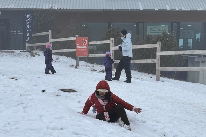 Melbourne: Private Lake Mountain Snow Tours & Redwood Rain Forest