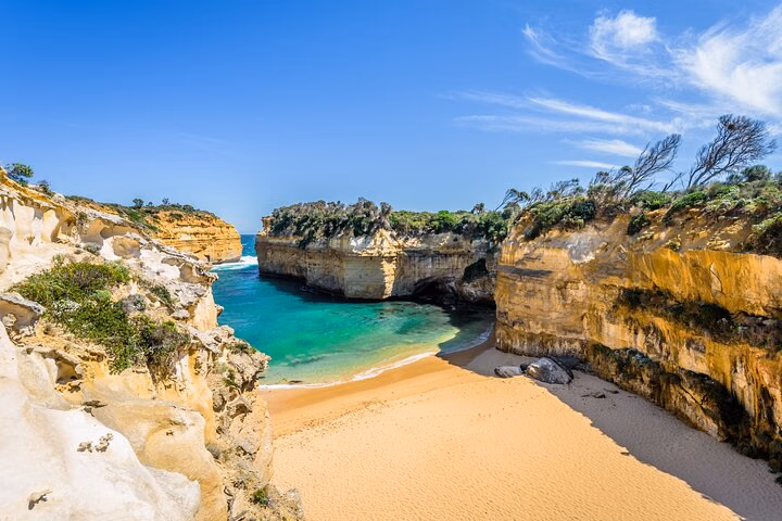 Melbourne: Private Great Ocean Road & 12 Apostles Tours.