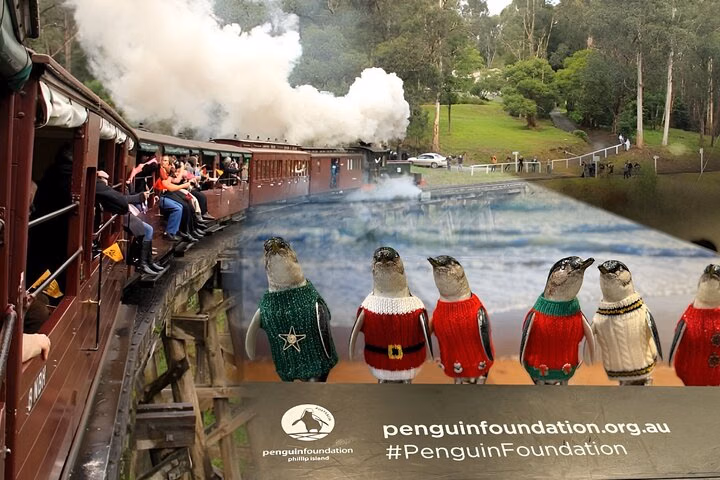 Melbourne: Private Puffing Billy Train & Phillip Island Tours.
