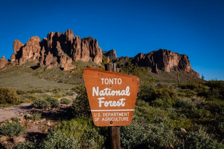 From Phoenix Superstition Mountains & Tonto Forest Private Tour