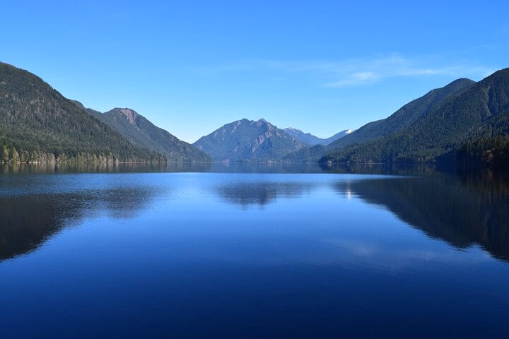 From Seattle Rainforest and Olympic National Park Highlight