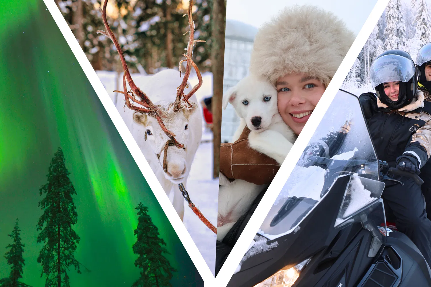 3-Day Lapland Adventure: Northern Lights, Huskies, Reindeer & Snowmobile