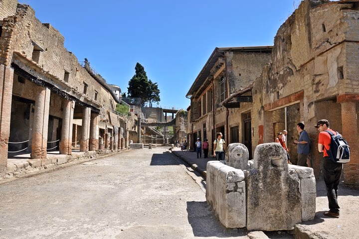 Herculaneum VIP Tour with Lunch from Naples