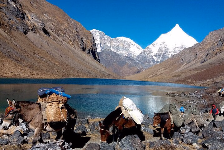 Druk Path Trekking Paro from Bhutan to Thimphu 8 Nights 9 Days