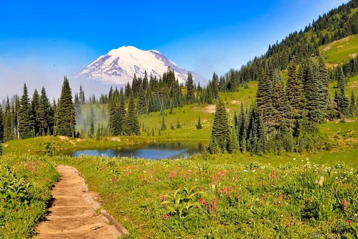 BT-Private Mt Rainier National Park Tour in SUV
