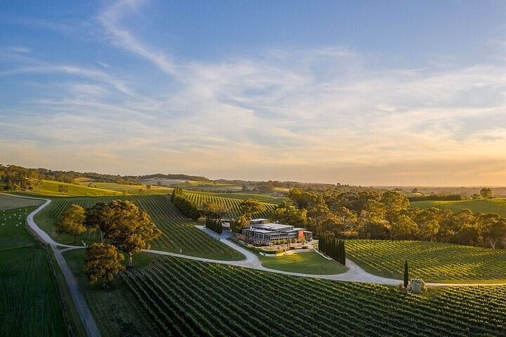BT:Phoenix Vortex to Vineyard Shared Tour