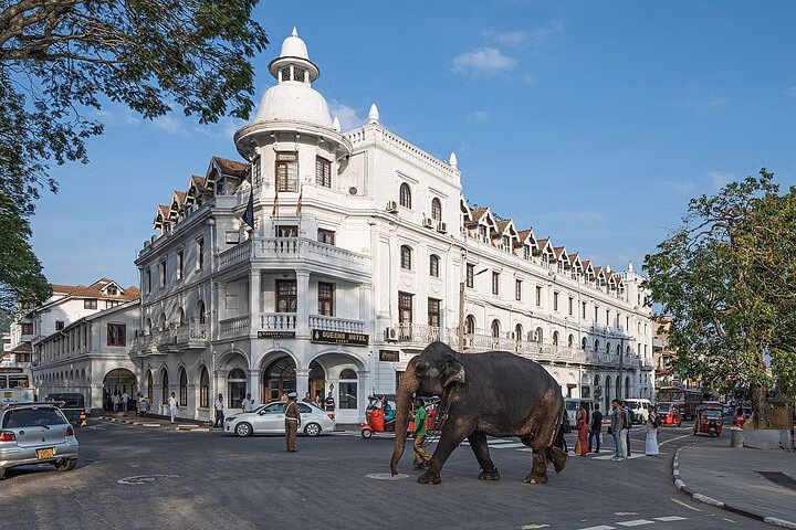 BT-Private Historical Day Tour from Colombo and Negombo