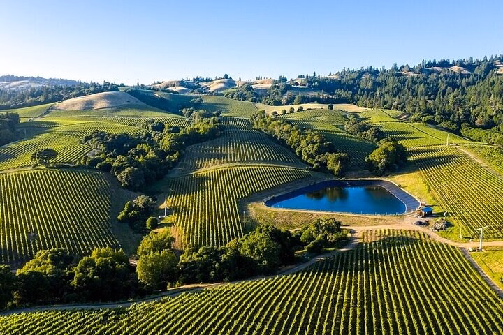 BT-Private Enchanted Napa & Sonoma Wine Tour from Oakland