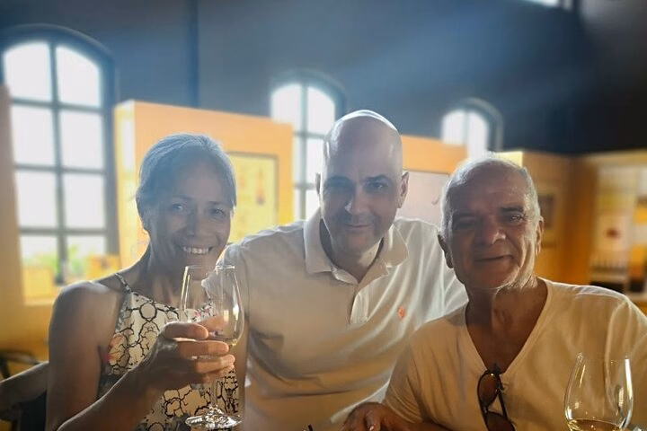 From Bordeaux: Saint‑Émilion Wine & Village Day Trip