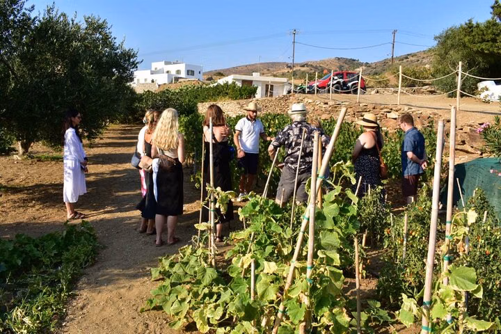 Naxos in a Glass - Island Wine Tasting Experience
