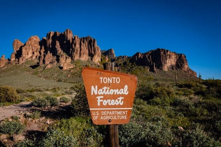 From Phoenix Superstition Mountains & Tonto Forest Shared Tour