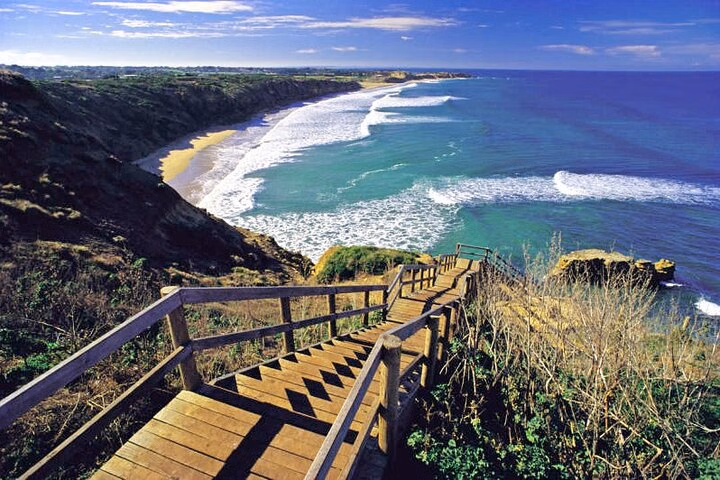 Great Ocean Road 12 apostles PRIVATE Luxury Tour 5 PAX all incl.