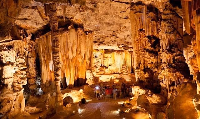 Oudtshoorn Day Trip