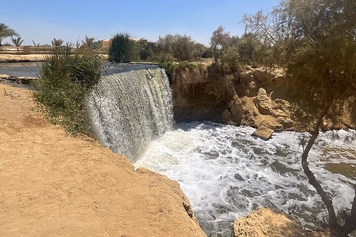 Fayoum Cultural & Nature Tour | Skip-the-Line Access & WiFi Incl.