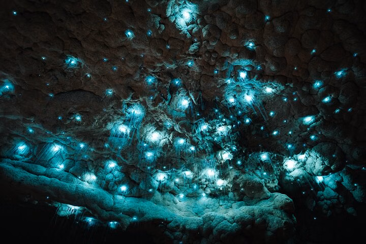 Milkyway Glowworm Cave Tour from Auckland Port