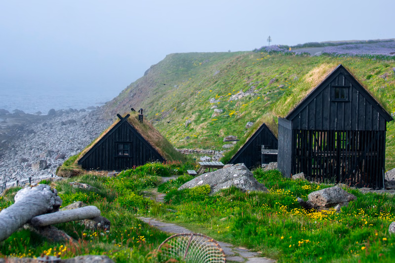3 Day - Westfjords Highlights Adventure