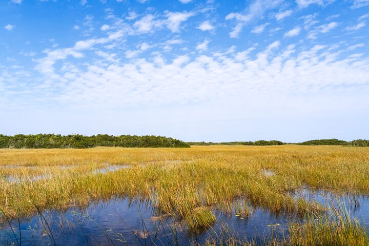 Everglades National Park Private Car Tour