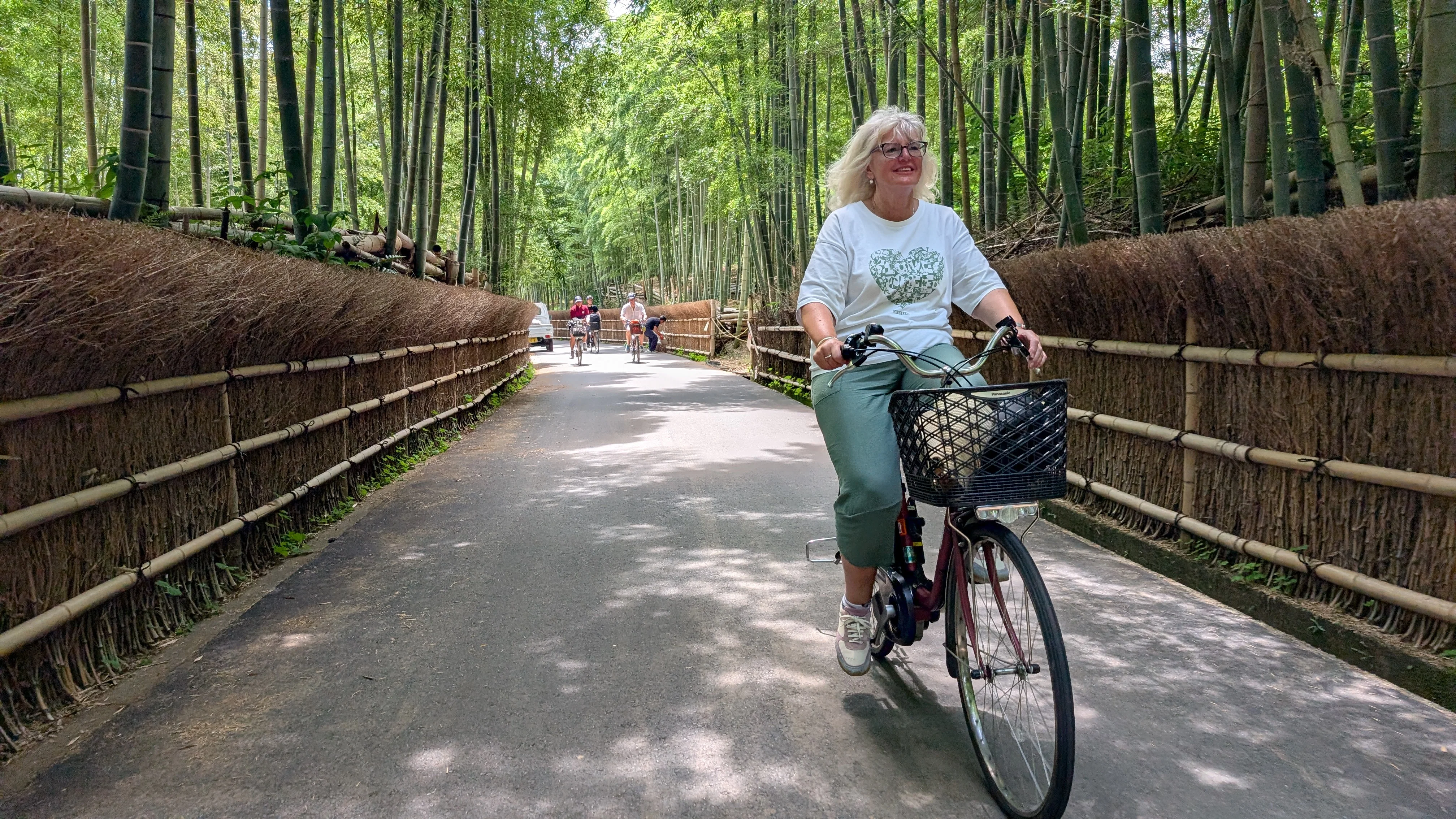 Kyoto E-Bike Tour : 5 or 7 hours, Bamboo Forest, Shrine, Mountain Temple, farms and local lunch - Escape the crowd