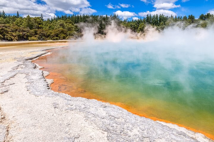 From Auckland: Rotorua & Waitomo Wonders Tour