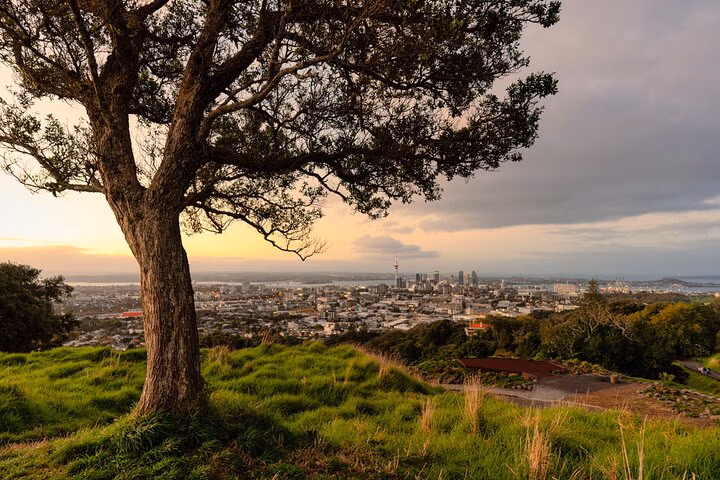 Auckland Local Life & Māori Heritage Tour