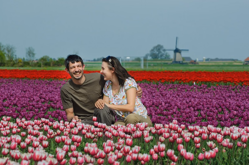 5-hour Keukenhof & Zaanse Schans Exclusive Small-Group Excursion (Max 7)