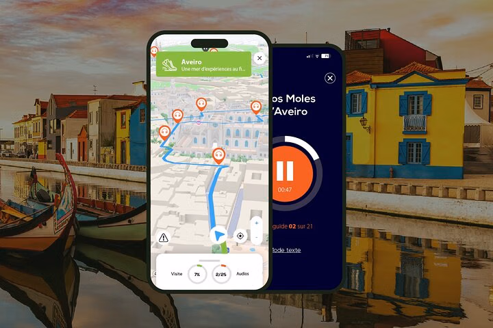 Aveiro Visite audioguidée à pied 2h30 et 20 commentaires audios