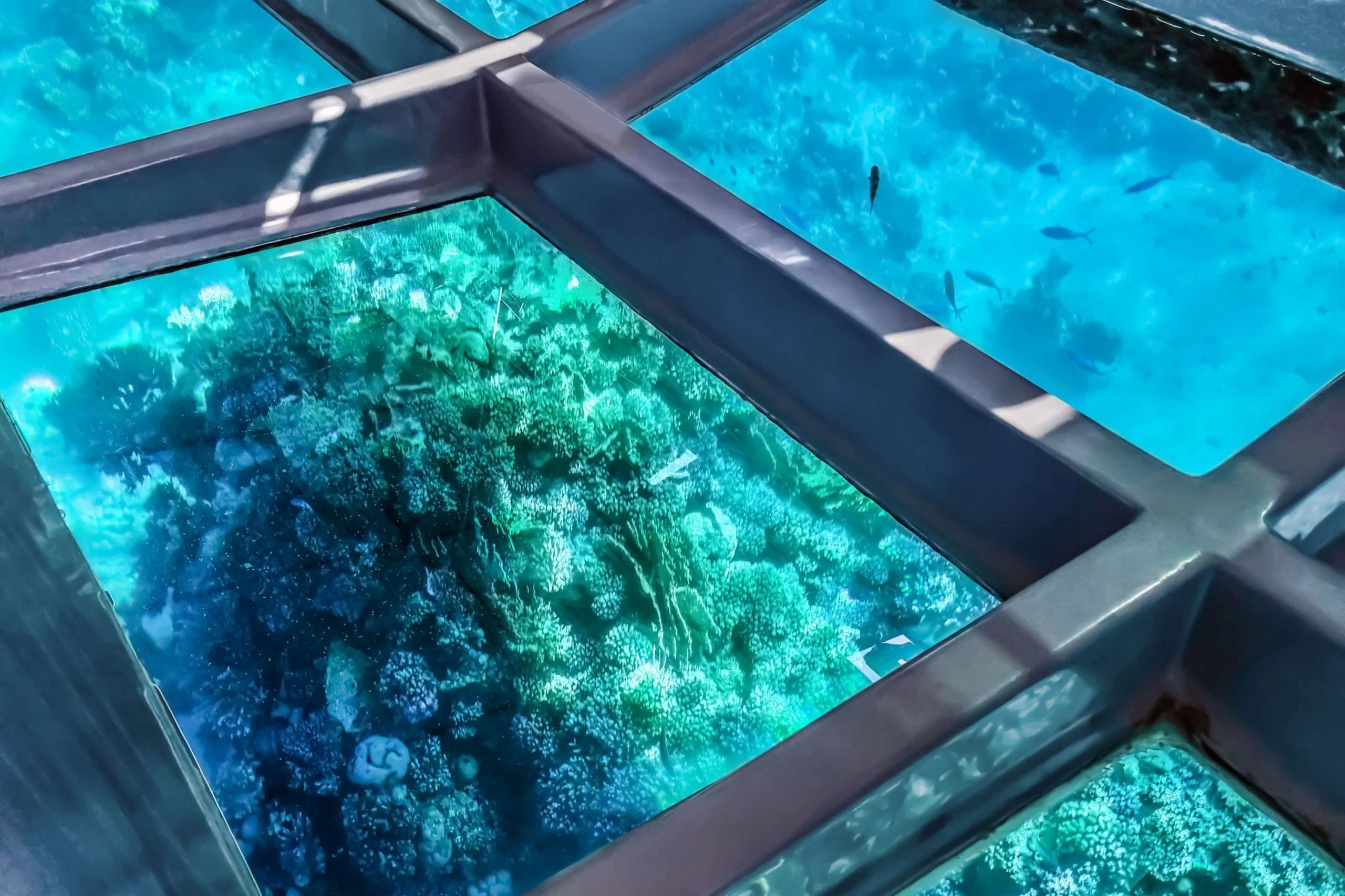 Family Glass Bottom Boat Sharm El Sheikh Excursions