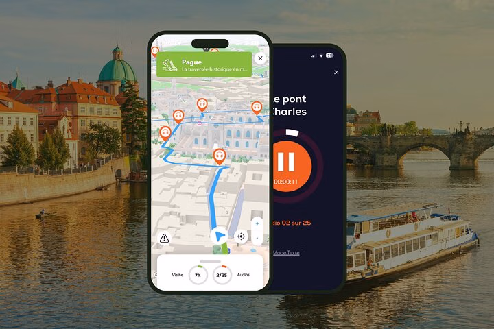 Florence Visite audioguidée à pied 3h10 et 25 commentaires audios