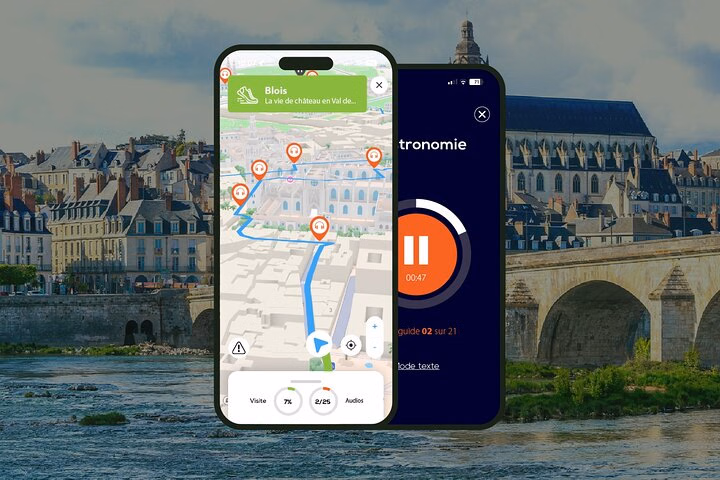Blois Visite audioguidée à pied 1h45 et 22 commentaires audios