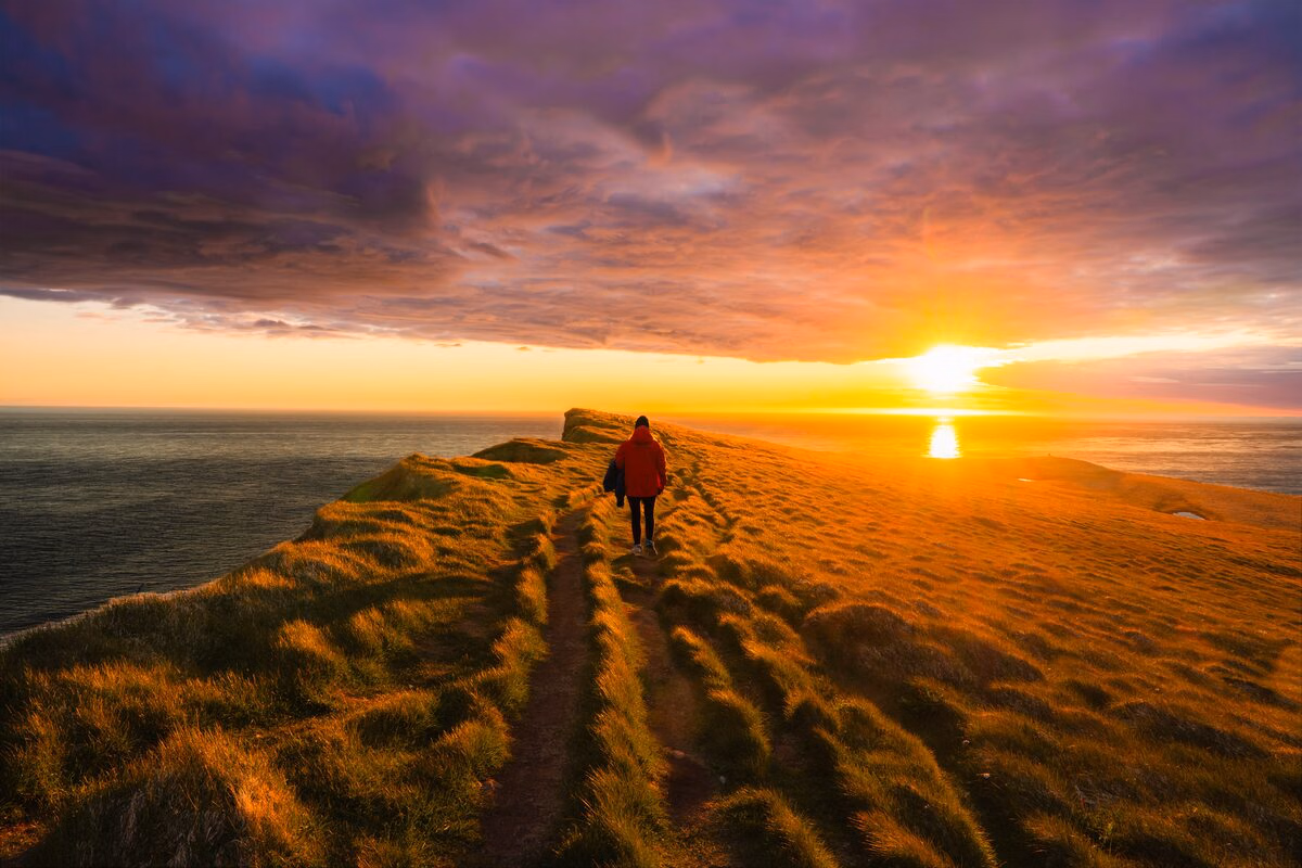 6 Day - South Coast, Glacier Experience & Wild Westfjords