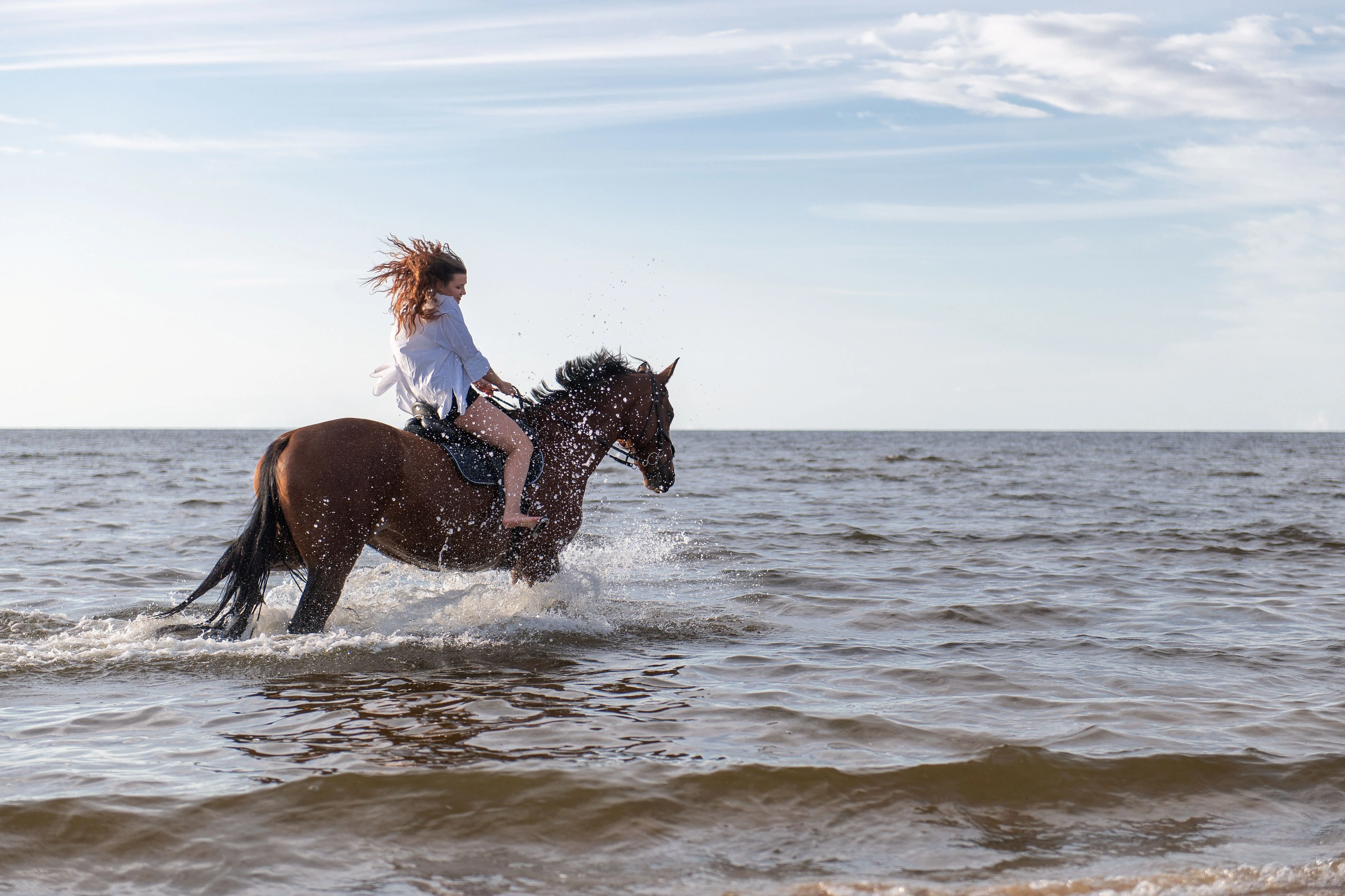 Horseback Riding Tour Marsa Alam with Option Horse Swimming