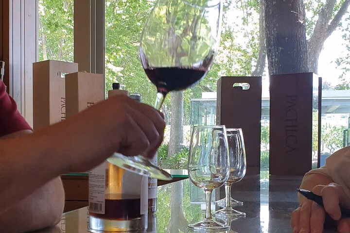 Douro Valley Tour Wine and breathtaking views