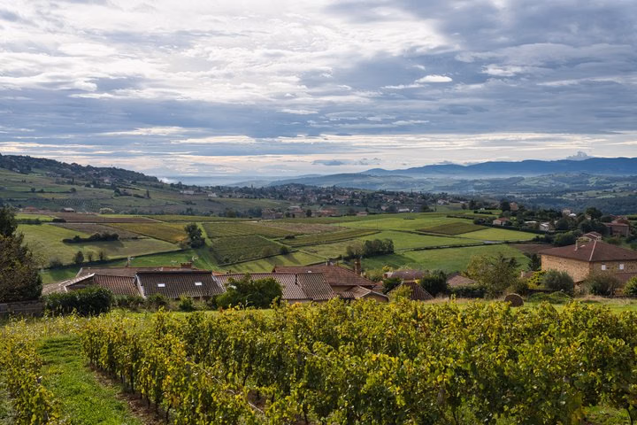 Lyon Private Wine Tour Beaujolais Golden Stones Day Trip