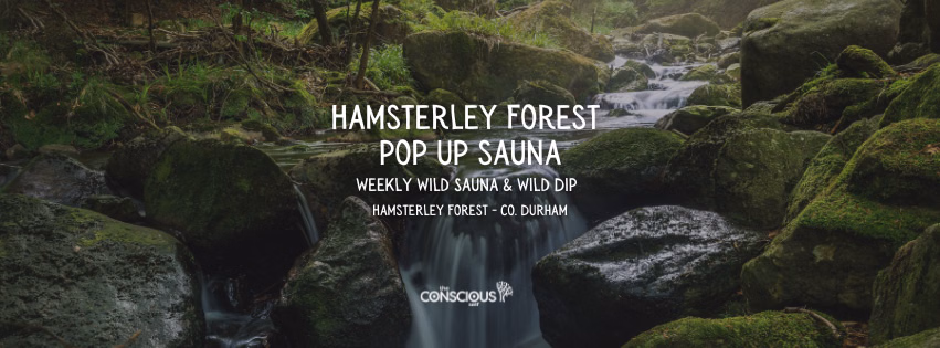 Hamsterley Forest Wild Sauna & Waterfall Swims