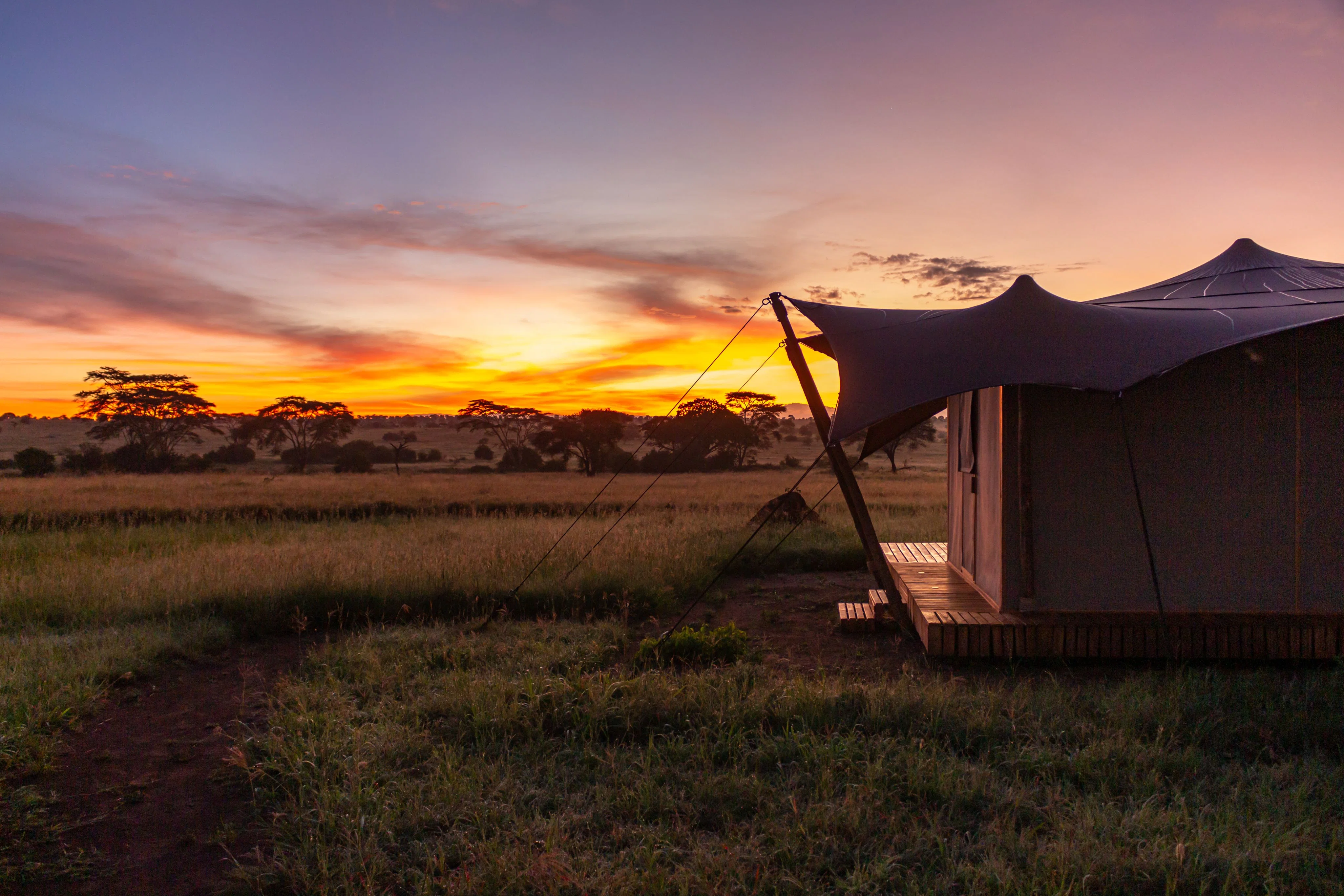 Anantya Serengeti - Luxury Superior Tent