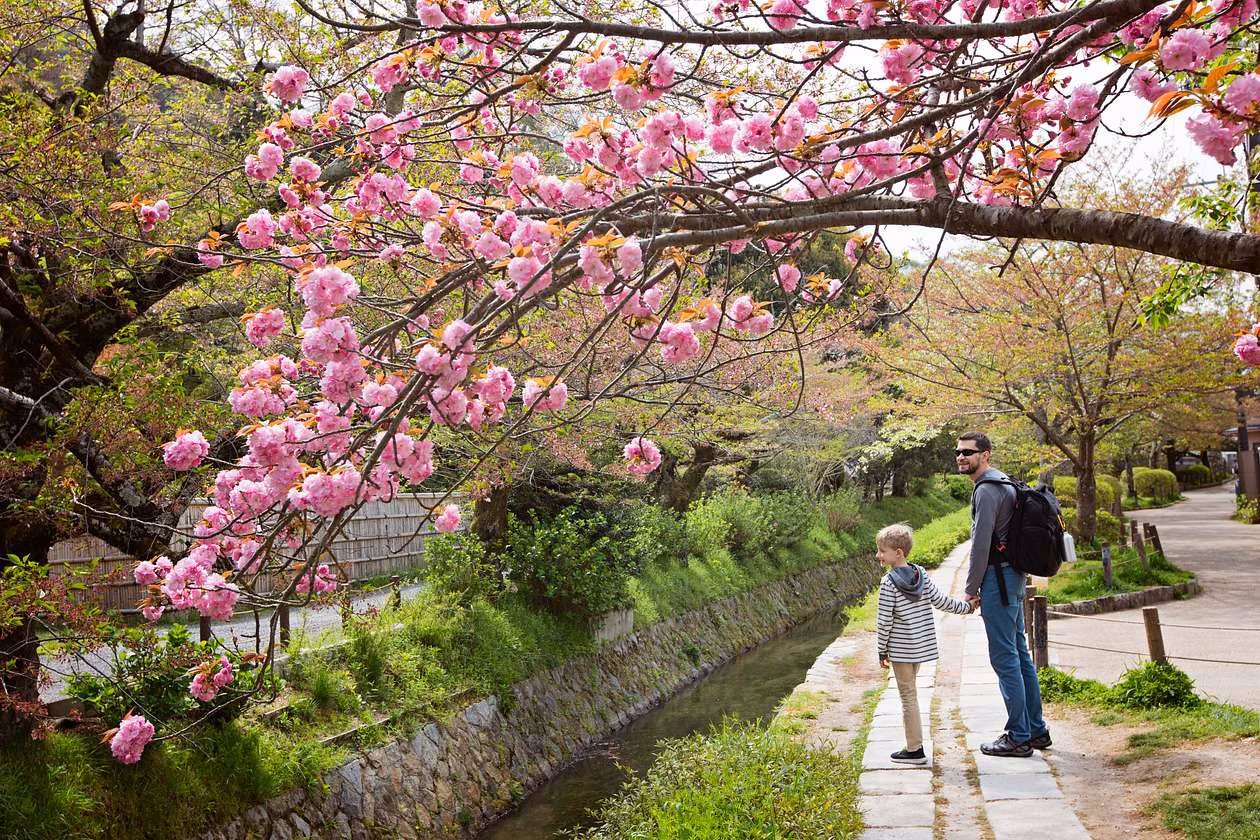 Explore East Kyoto: Philosopher Path, Temple, Shrine, art, Coffee/Tea and local Life