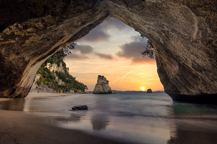Auckland to Coromandel Private Tour Beach and Cove Highlights