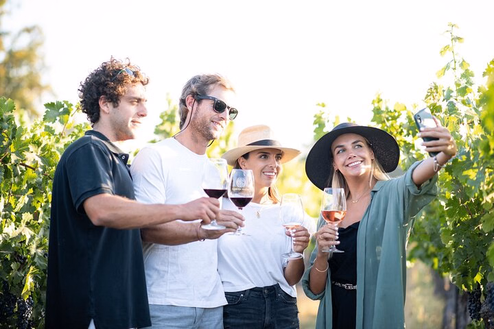 Cousiño Macul Premium Wine Tour with 6 Wine Tastings