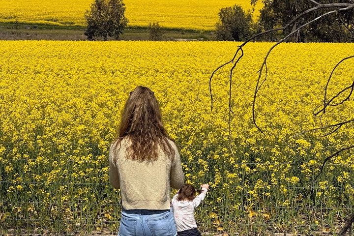From Perth Private Premium Wildflowers and Canola Fields Tour