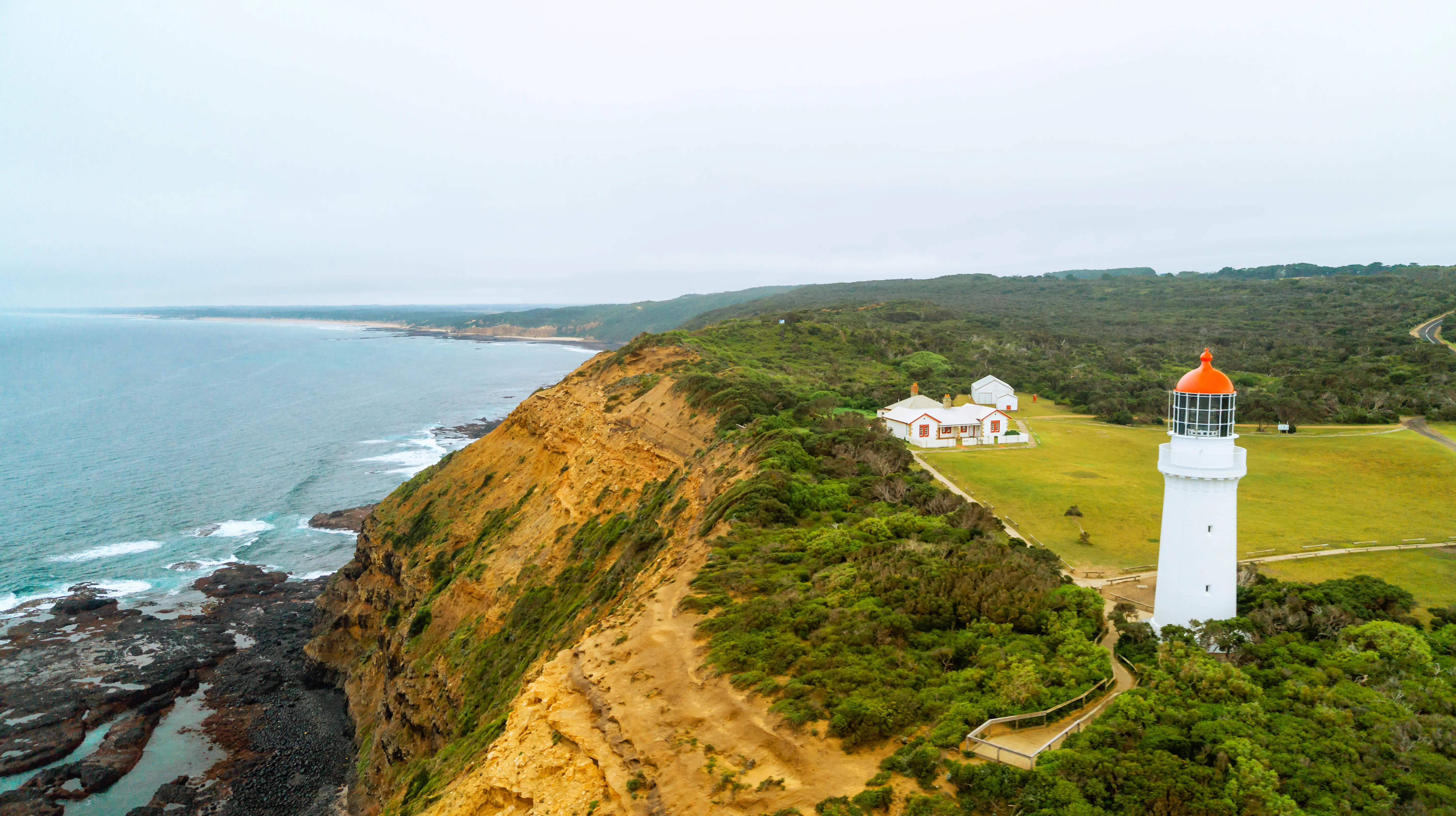 Mornington Coastal Sightseeing Tour