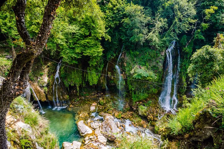 Discover Our Fields and Lake Full-Day Shared Tour from Nice