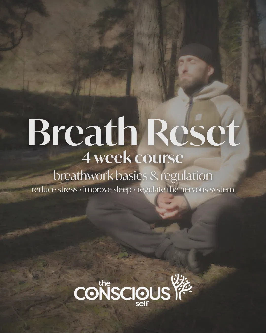 Breath Reset - 4 week breath journey