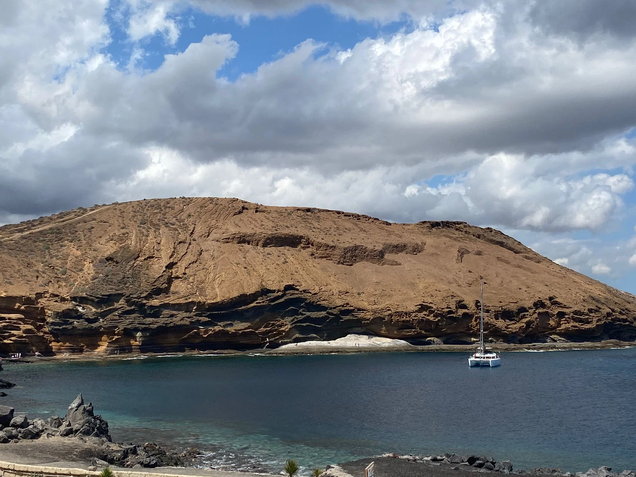 Afternoon Discovery Whale Watching Experience – Los Cristianos