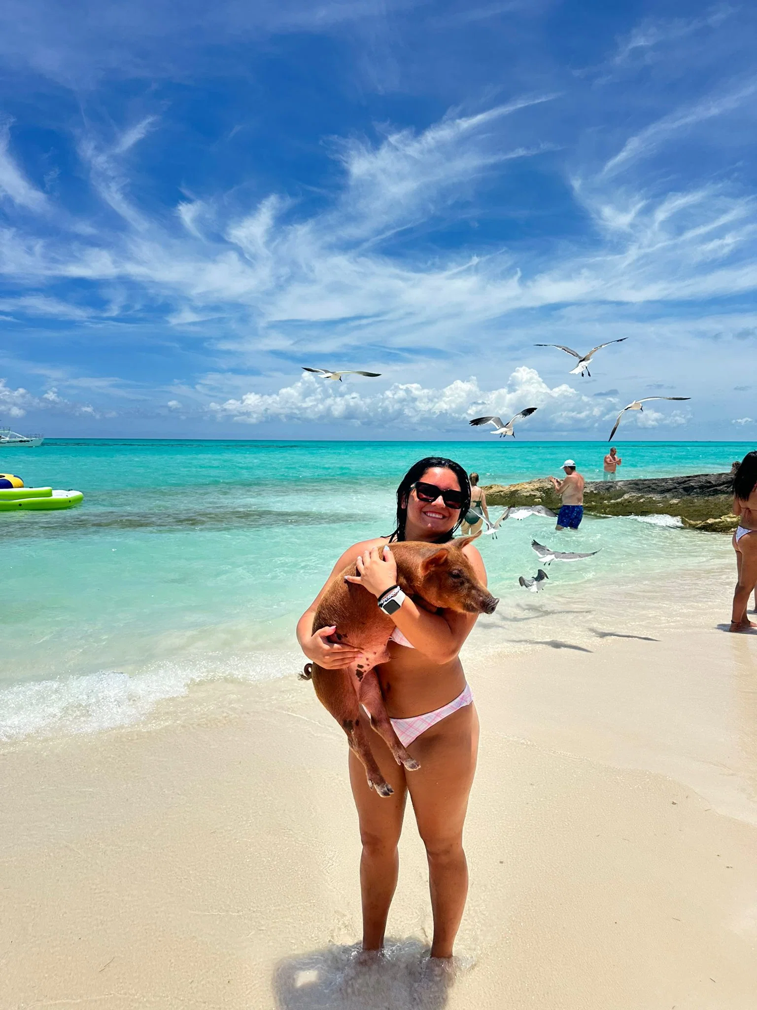 NAS Three island , snorkel, turtles swimming pigs & lunch